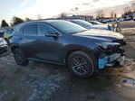 Lexus NX 2024
