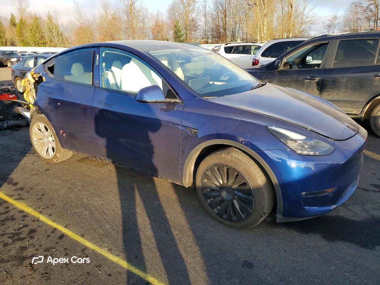 Tesla Model Y 2024