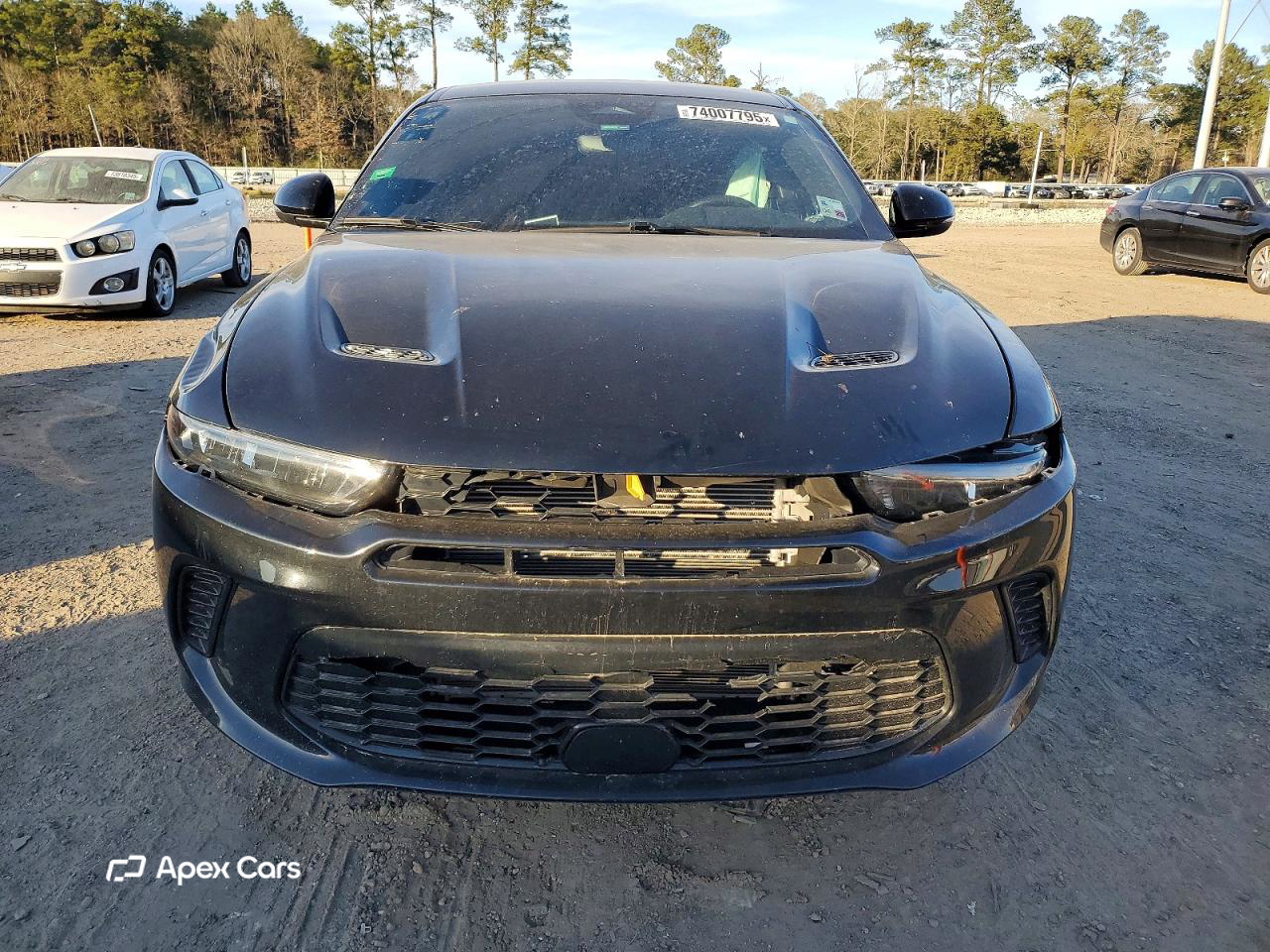 Dodge Hornet 2024