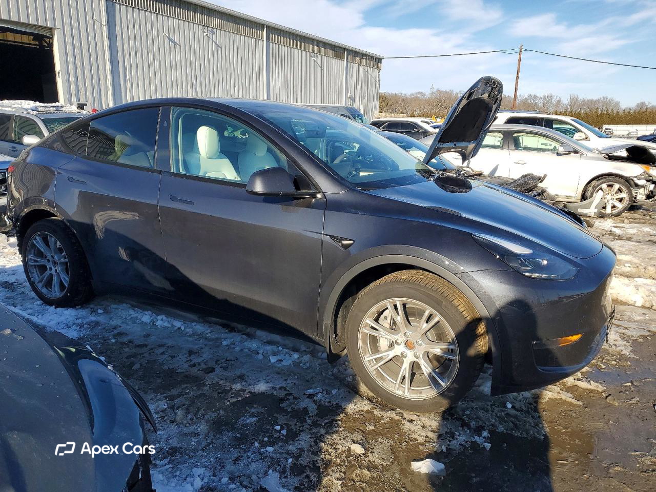 Tesla Model Y 2024