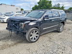 Cadillac Escalade 2016