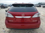 Lexus RX 2010