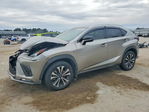 Lexus NX 2020
