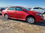Toyota Corolla 2009