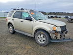 Ford Escape 2011