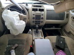 Ford Escape 2008