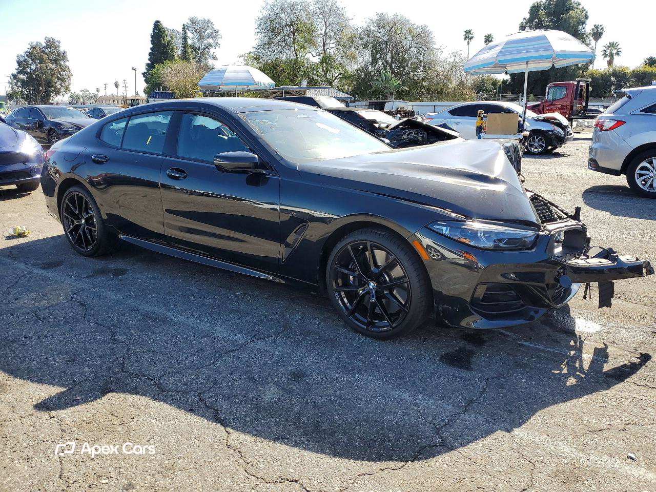 BMW Series 8 2025