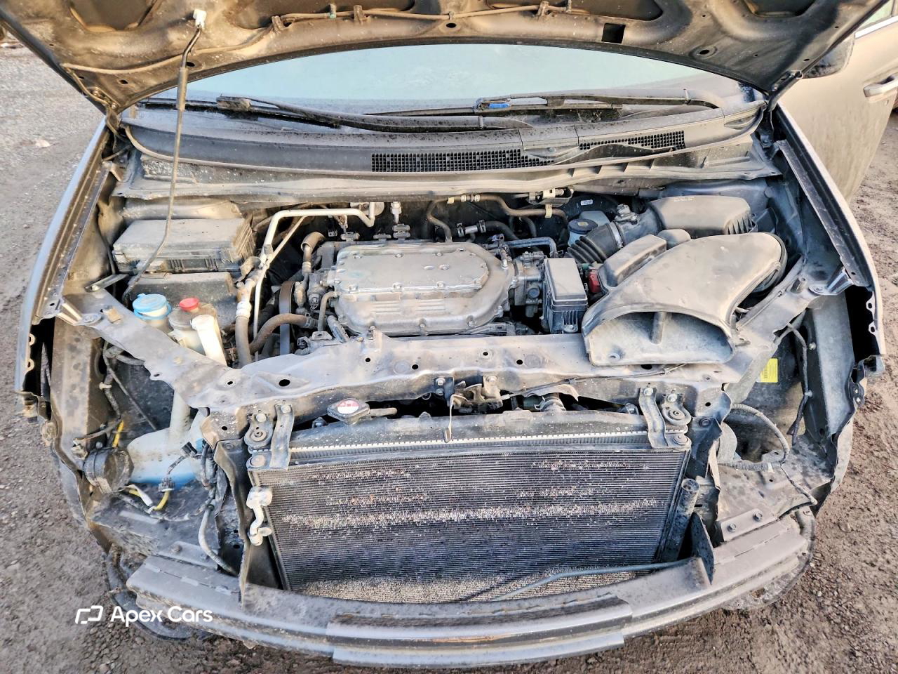 Honda Odyssey 2013