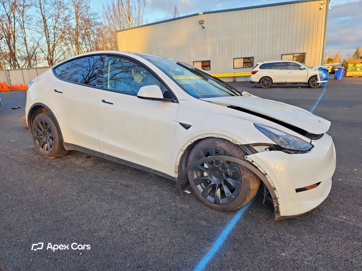 Tesla Model Y 2025