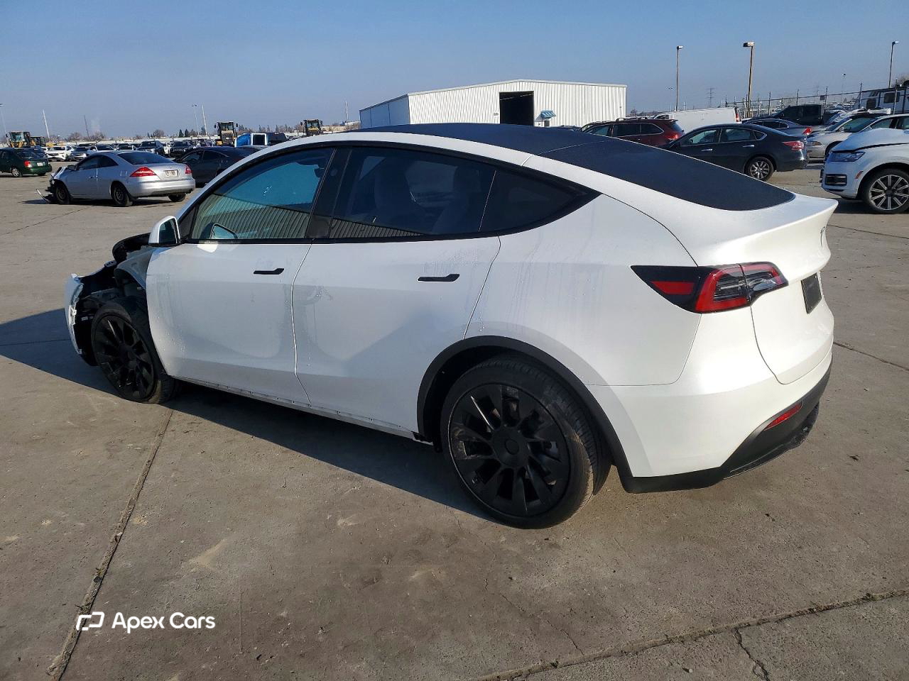 Tesla Model Y 2025