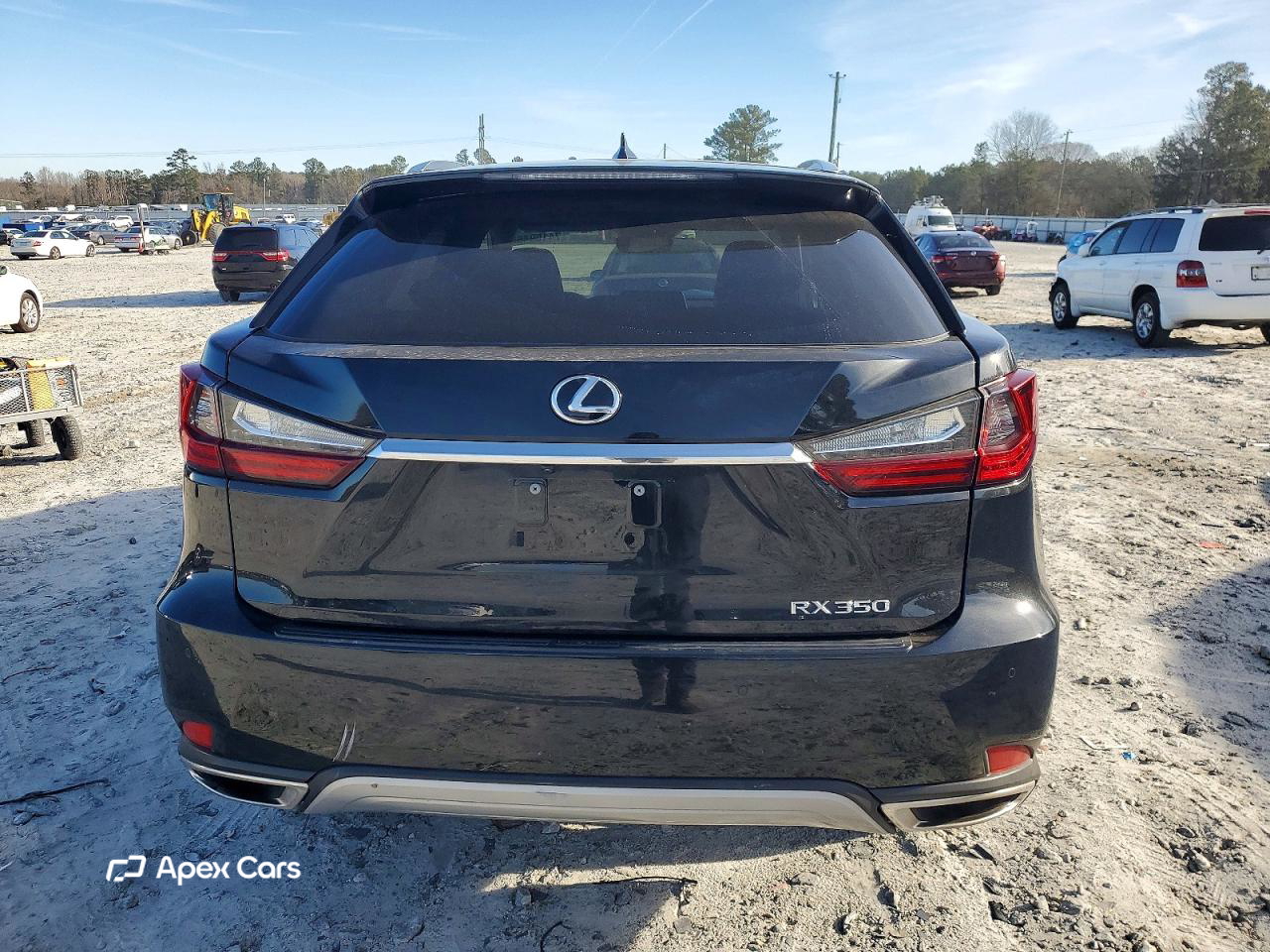 Lexus RX 2020