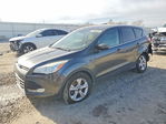 Ford Escape 2015