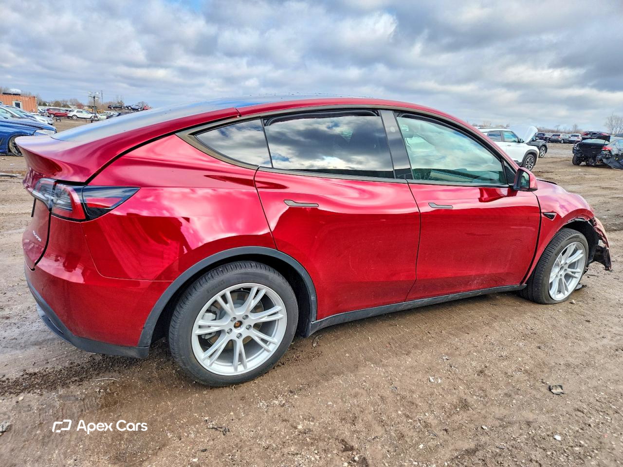 Tesla Model Y 2024