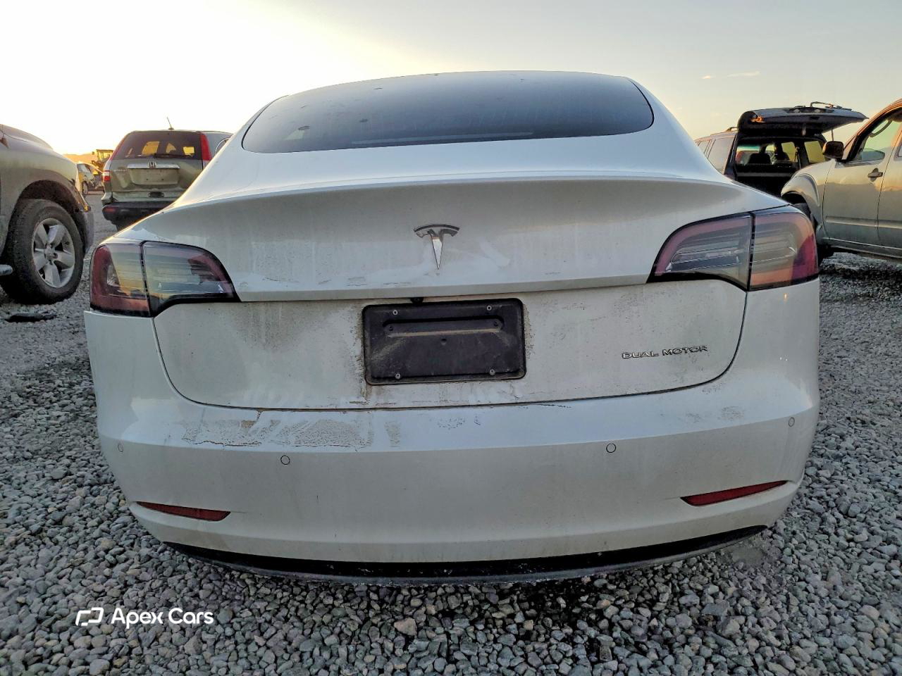 Tesla Model 3 2019