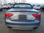 Audi S5 2015