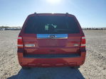 Ford Escape 2010