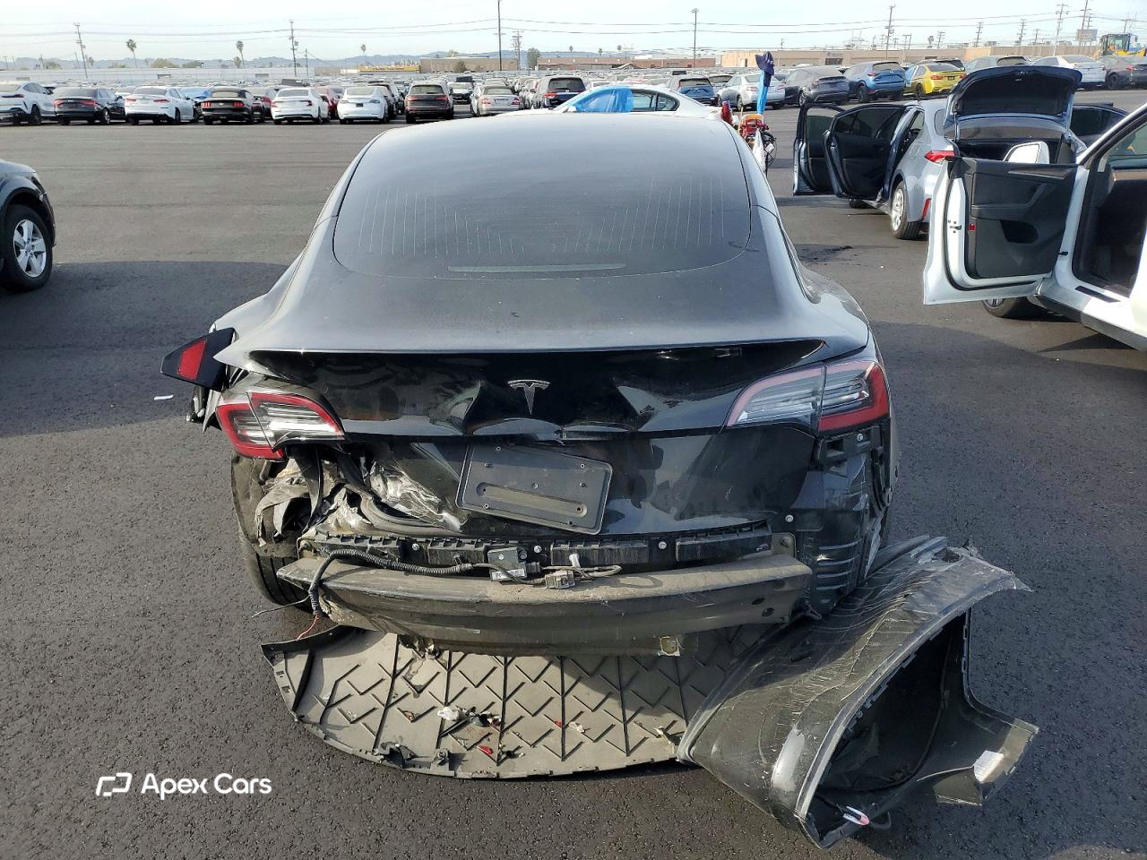 Tesla Model 3 2019