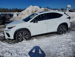 Lexus NX 2021