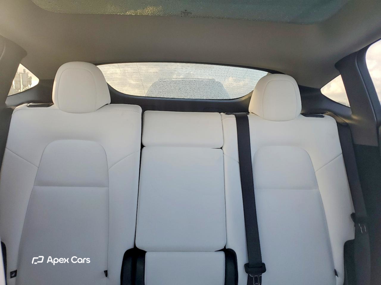 Tesla Model Y 2025