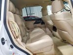 Lexus LX 2020