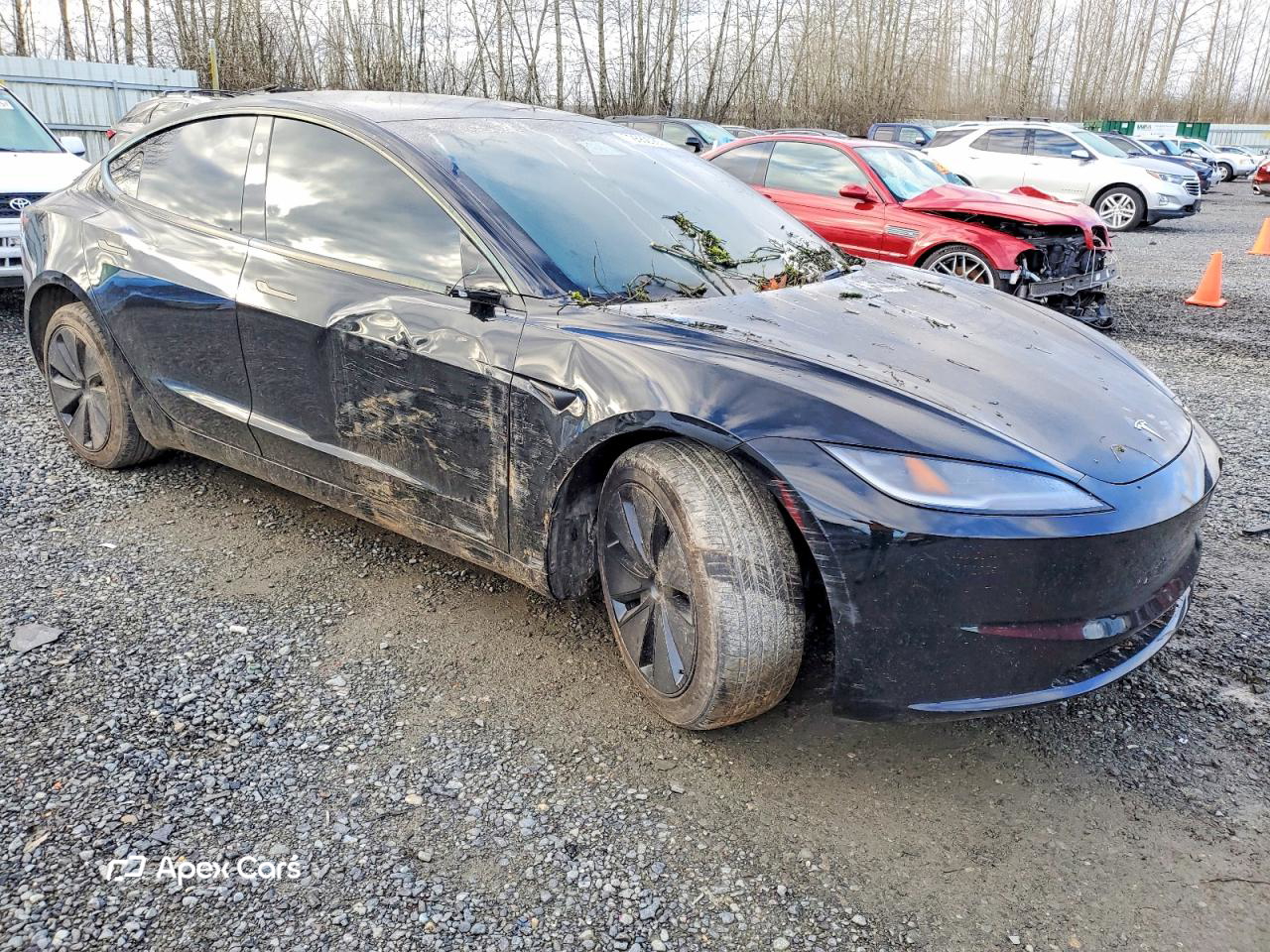 Tesla Model 3 2025