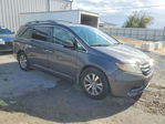 Honda Odyssey 2015