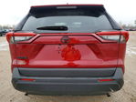 Toyota RAV 4 2024
