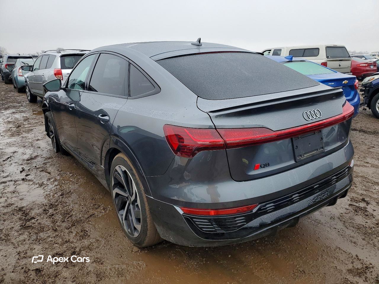 Audi Q8 2024