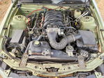Ford Mustang 2005
