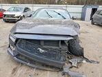 Ford Mustang 2024
