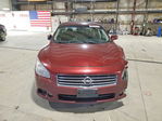Nissan Maxima 2010