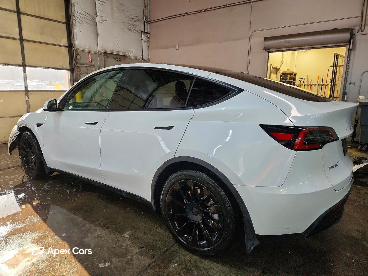 Tesla Model Y 2020
