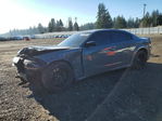 Dodge Charger 2023