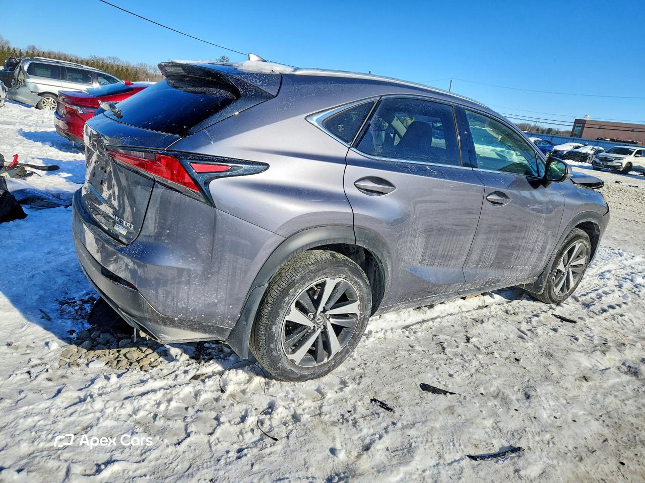 Lexus NX 2020