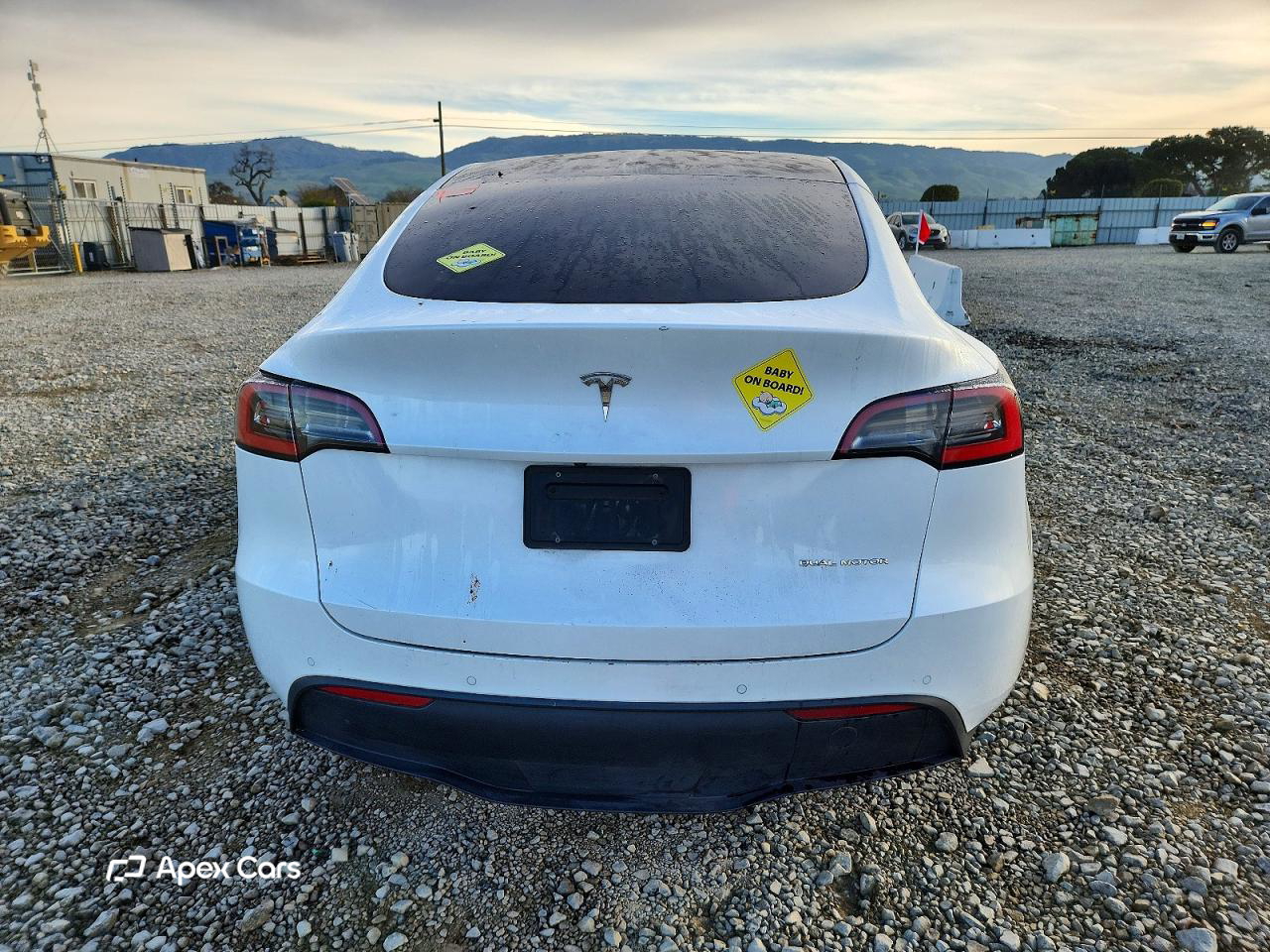 Tesla Model Y 2021
