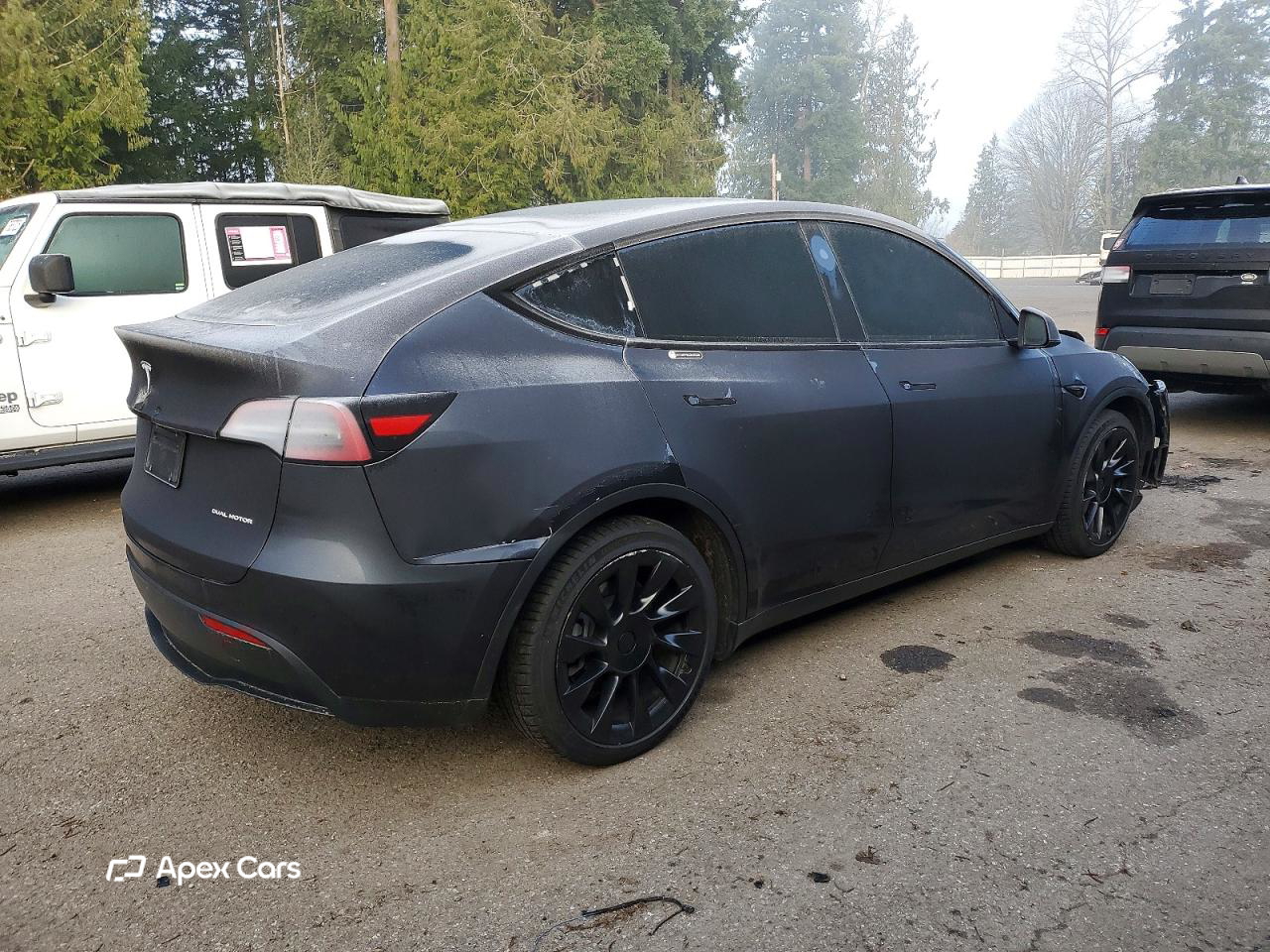 Tesla Model Y 2024