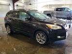 Ford Escape 2013