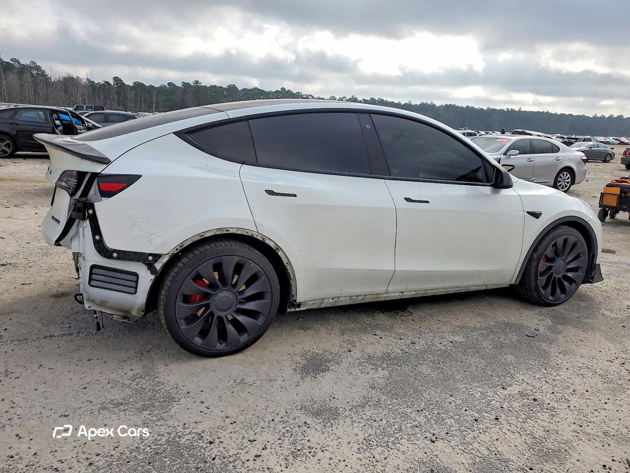 Tesla Model Y 2020