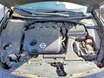 Nissan Maxima 2014