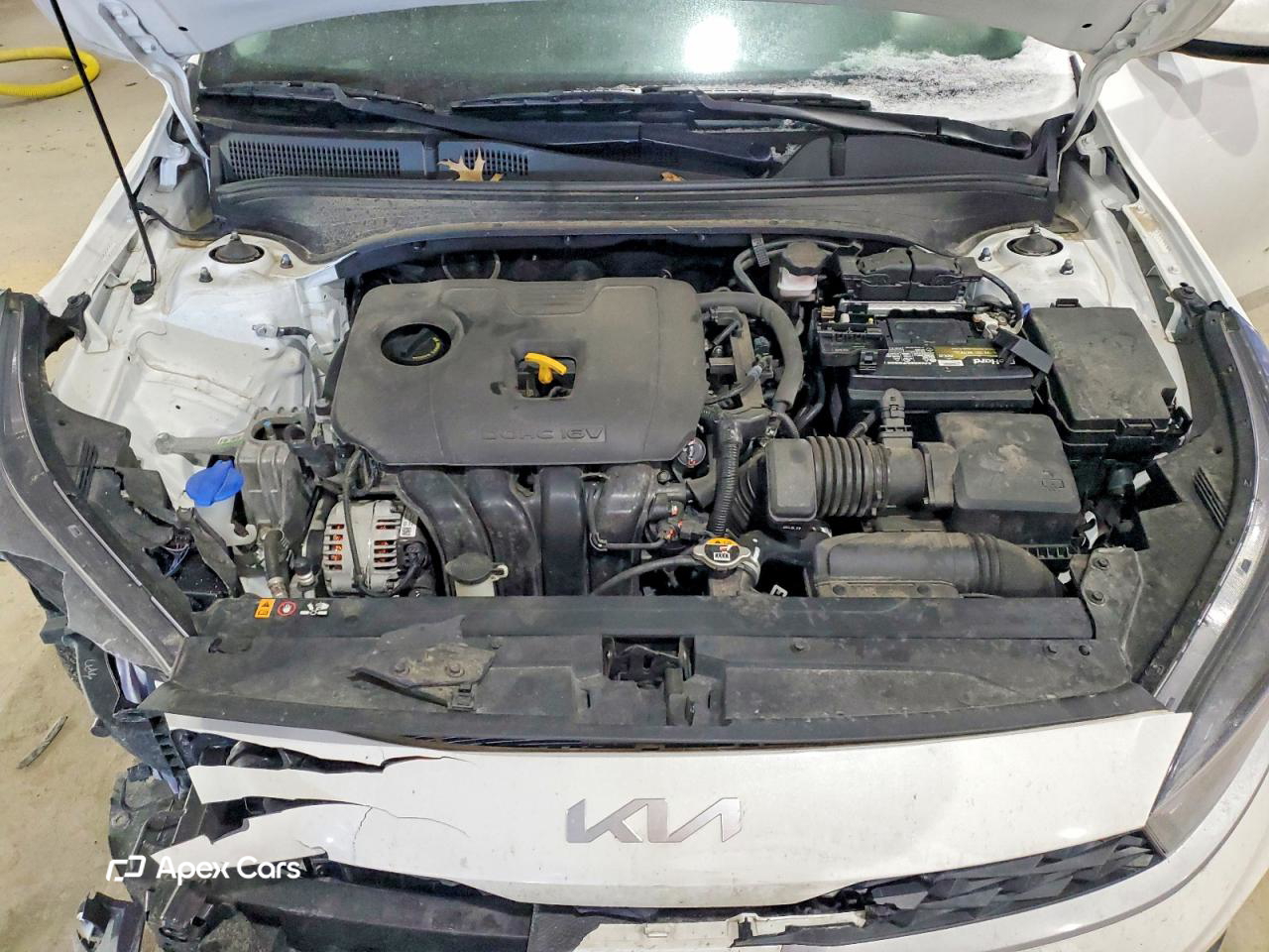 Kia Forte 2024