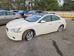 Maxima 2010