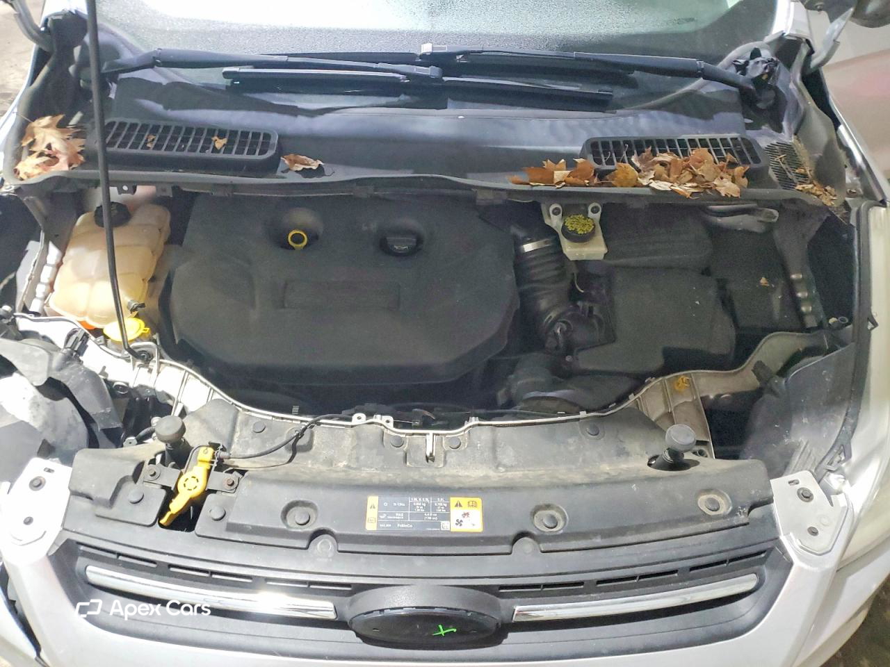 Ford Escape 2014