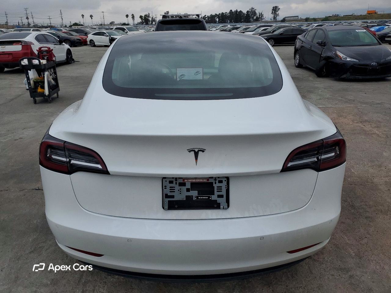 Tesla Model 3 2019