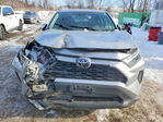 Toyota RAV 4 2024