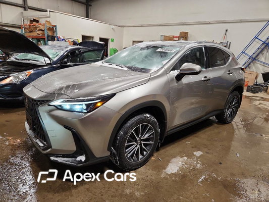 Lexus NX 2022 - Image 1 of 13