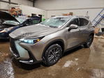 Lexus NX 2022