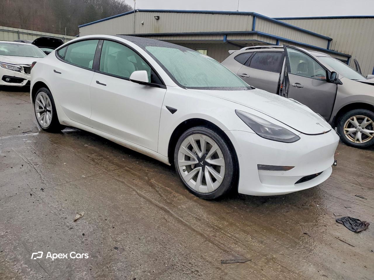 Tesla Model 3 2022