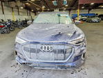 Audi e-tron 2021