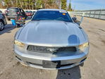 Ford Mustang 2011