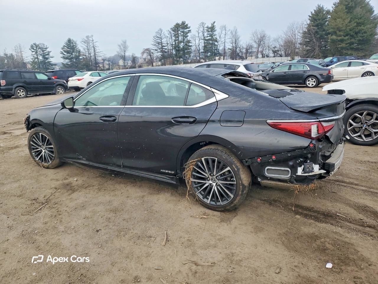 Lexus ES 2022